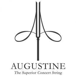 Augustine – techzone.com.ua