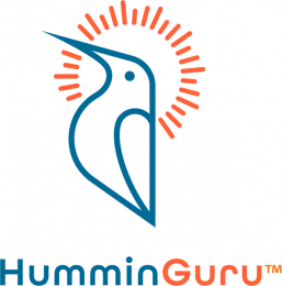 HumminGuru – techzone.com.ua
