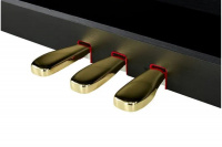 Цифровое пианино CASIO AP-470BKC7 5 – techzone.com.ua Цифровое пианино CASIO AP-470BKC7 5 – techzone.com.ua