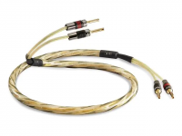 Кабель QED Gaxt Pre-Term Speaker Cable 2.5m QE1472 1 – techzone.com.ua