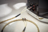 Кабель QED Gaxt Pre-Term Speaker Cable 2.5m QE1472 3 – techzone.com.ua Кабель QED Gaxt Pre-Term Speaker Cable 2.5m QE1472 3 – techzone.com.ua