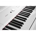 Цифровое пианино Artesia PA88H (White) 2 – techzone.com.ua