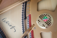 Рояль Petrof P 173 Breeze DCH-2251 2 – techzone.com.ua Рояль Petrof P 173 Breeze DCH-2251 2 – techzone.com.ua