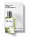 Maison Crivelli Papyrus Moleculaire Парфумована вода Унісекс 100 мл 2 – techzone.com.ua