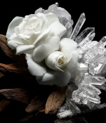 Kilian Musk Butterfly Парфумована вода для жінок 50 мл 4 – techzone.com.ua Kilian Musk Butterfly Парфумована вода для жінок 50 мл 4 – techzone.com.ua