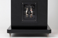 Фронтальные акустические колонки Sonus Faber CHAMELEON T 9 – techzone.com.ua Фронтальные акустические колонки Sonus Faber CHAMELEON T 9 – techzone.com.ua