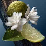 Givenchy Gentleman Society Sport Парфумована вода для чоловіків 100 мл 4 – techzone.com.ua