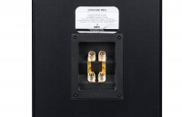 Акустична система Davis Acoustics Dhavani MK2 Black Ash 4 – techzone.com.ua Акустична система Davis Acoustics Dhavani MK2 Black Ash 4 – techzone.com.ua