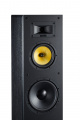 Акустична система Davis Acoustics Dhavani MK2 Black Ash 3 – techzone.com.ua