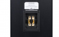 Акустична система Davis Acoustics Dhavani MK2 Black Ash 4 – techzone.com.ua