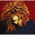 Вінілова платівка Janet Jackson - The Velvet Rope [2LP] 1 – techzone.com.ua