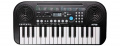 Kurzweil KP10 1 – techzone.com.ua