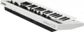 Синтезатор YAMAHA reface CS 3 – techzone.com.ua