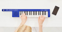 Кейтар YAMAHA SHS-300BU 5 – techzone.com.ua