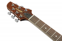 IBANEZ TCM50 VBS Гітара електроакустична 8 – techzone.com.ua IBANEZ TCM50 VBS Гітара електроакустична 8 – techzone.com.ua