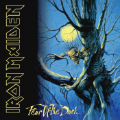 Виниловая пластинка Iron Maiden: Fear Of The Dark /2LP