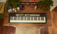 Синтезатор CASIO LK-S250 8 – techzone.com.ua Синтезатор CASIO LK-S250 8 – techzone.com.ua
