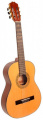 Классическая гитара ALVERA ACG300 4/4 1 – techzone.com.ua
