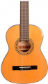 Классическая гитара ALVERA ACG300 4/4 3 – techzone.com.ua