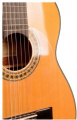 Классическая гитара ALVERA ACG300 4/4 5 – techzone.com.ua