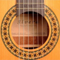 Классическая гитара ALVERA ACG300 4/4 6 – techzone.com.ua