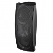 Настінна акустика D.A.S. Audio Arco 24T Black