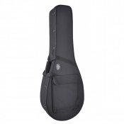 Чохол для банджо Boston CBJ-250 1 – techzone.com.ua