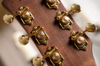 CORT GOLD-DC6 (Natural) 7 – techzone.com.ua CORT GOLD-DC6 (Natural) 7 – techzone.com.ua