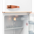 Отдельностоящий холодильник Günter&Hauer FN 240 CB 5 – techzone.com.ua