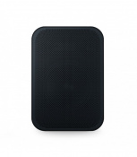 Бездротова акустика Bluesound Pulse Flex 2i Wireless Streaming Speaker Black (BSPULSEFLEX2IBK) 2 – techzone.com.ua
