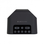 Бездротова акустика Bluesound Pulse Flex 2i Wireless Streaming Speaker Black (BSPULSEFLEX2IBK) 4 – techzone.com.ua