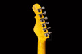 GL Guitars ASAT TELE Z3 Ash Green MN Електрогітара 9 – techzone.com.ua
