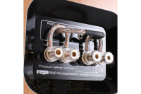 Акустика Rega RS10 Black 2 – techzone.com.ua Акустика Rega RS10 Black 2 – techzone.com.ua
