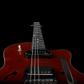 Електро гітара Godin Guitars Godin 5th Avenue Uptown Custom Havana Brown 4 – techzone.com.ua