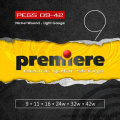 Струны для электрогитары Premiere Strings PEGS09 42 – techzone.com.ua