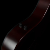 Електро акустичний бас Godin Guitars Godin A5 Ultra Natural Fretless A/E 6 – techzone.com.ua