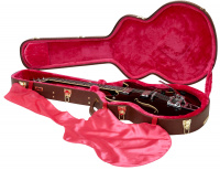 GATOR GW-335-BROWN Semi-Hollow Guitar Deluxe Wood Case 3 – techzone.com.ua GATOR GW-335-BROWN Semi-Hollow Guitar Deluxe Wood Case 3 – techzone.com.ua