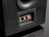 Акустична система SVS Prime Pinnacle Tower Black Ash 4 – techzone.com.ua Акустична система SVS Prime Pinnacle Tower Black Ash 4 – techzone.com.ua
