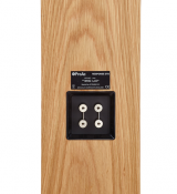 Акустика ProAc Response DT8 Rosewood 4 – techzone.com.ua Акустика ProAc Response DT8 Rosewood 4 – techzone.com.ua
