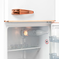 Отдельностоящий холодильник Günter&Hauer FN 275 CB 4 – techzone.com.ua