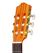 Гитара CORDOBA C1 (with Gig Bag) 5 – techzone.com.ua Гитара CORDOBA C1 (with Gig Bag) 5 – techzone.com.ua