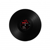 Виниловая пластинка Скрябин - Птицы вернулись [LP] 2 – techzone.com.ua