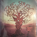 Виниловая пластинка LP Brew: Shake The Tree 1 – techzone.com.ua