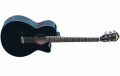 Электроакустическая гитара Washburn EA10 B – techzone.com.ua