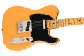 Электрогитара FENDER PLAYER II TELECASTER MN BUTTERSCOTCH BLONDE 3 – techzone.com.ua