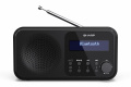 Цифрове радіо з Bluetooth SHARP DR-P420(BK) 1 – techzone.com.ua