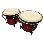 Бонго Alfabeto BNG67-RD (Red)