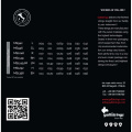 Струни для електрогітари Gallistrings MS946 CUSTOM LIGHT 3 – techzone.com.ua
