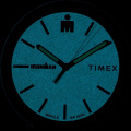 Жіночий годинник Timex IRONMAN Essential Tx5m17200 7 – techzone.com.ua