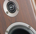 Фронтальні акустичні колонки Acoustic Energy Aegis NEO 1 DW 4 – techzone.com.ua